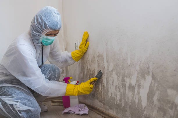 Best Industrial Mold Remediation  in Eatontown, NJ