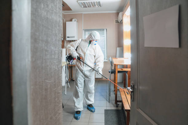 Best Basement Mold Removal  in Eatontown, NJ